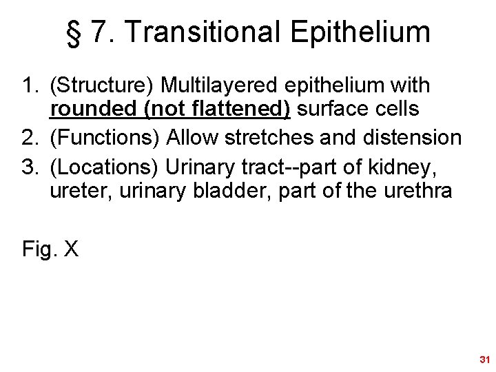 § 7. Transitional Epithelium 1. (Structure) Multilayered epithelium with rounded (not flattened) surface cells