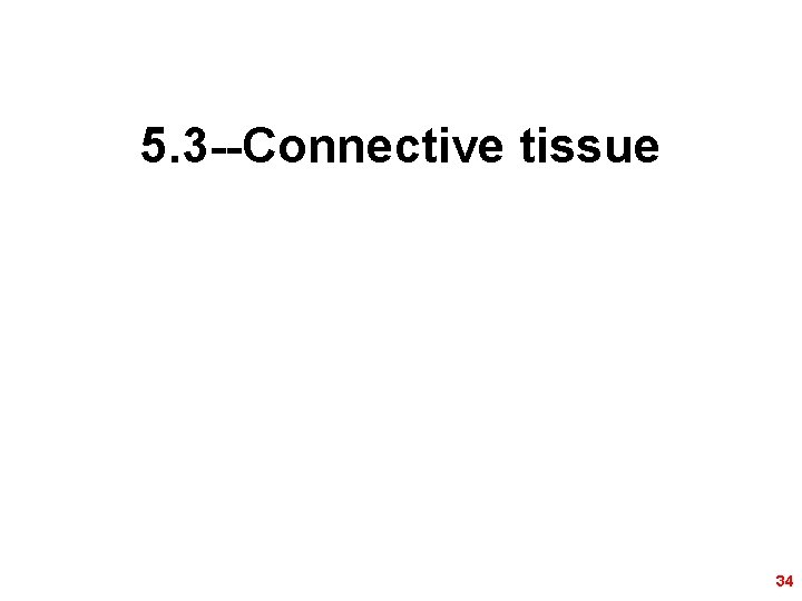 5. 3 --Connective tissue 34 