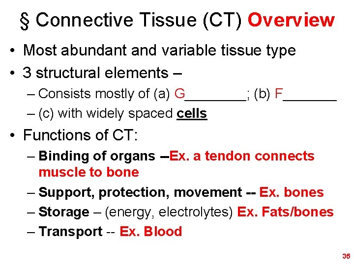 § Connective Tissue (CT) Overview • Most abundant and variable tissue type • 3