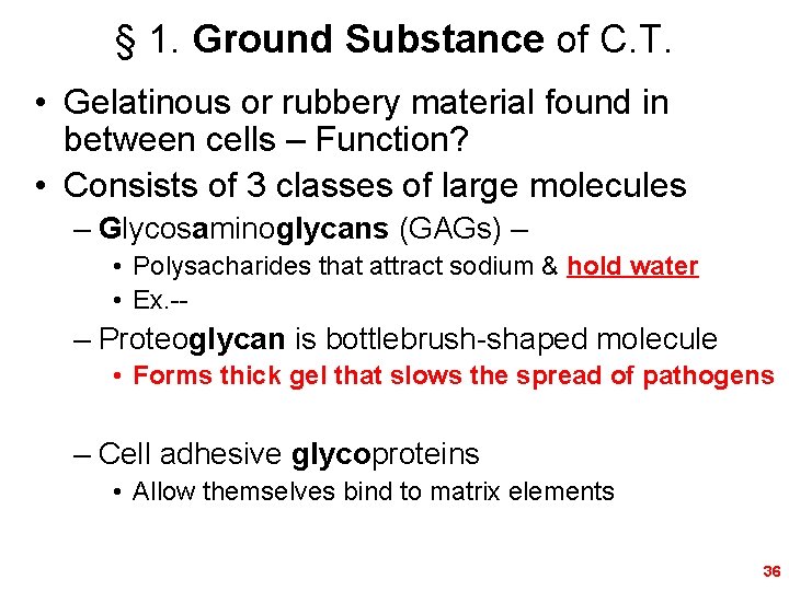 § 1. Ground Substance of C. T. • Gelatinous or rubbery material found in