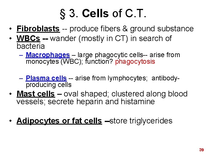 § 3. Cells of C. T. • Fibroblasts -- produce fibers & ground substance