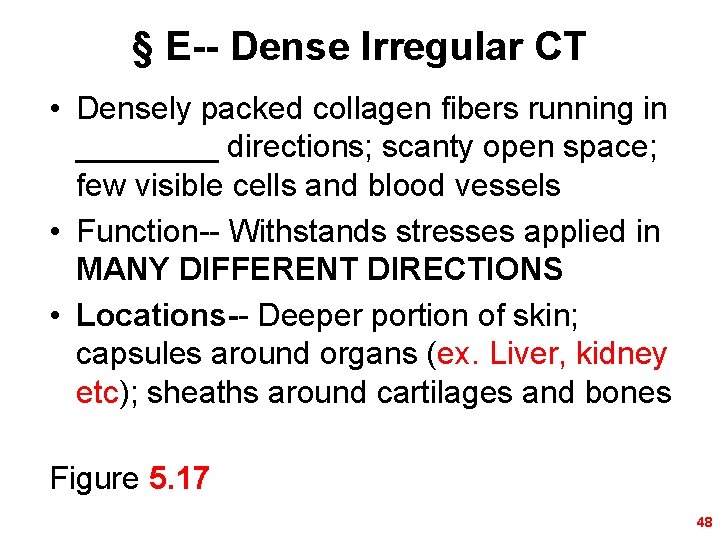 § E-- Dense Irregular CT • Densely packed collagen fibers running in ____ directions;