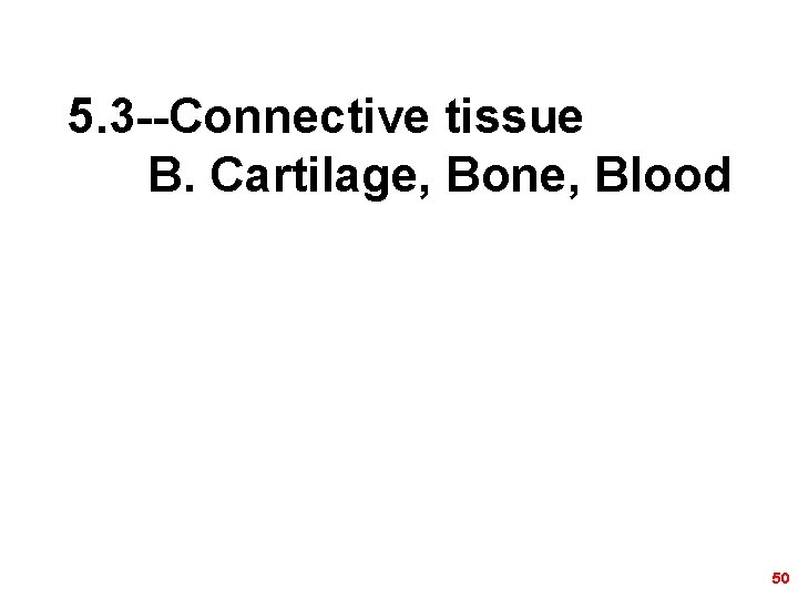 5. 3 --Connective tissue B. Cartilage, Bone, Blood 50 