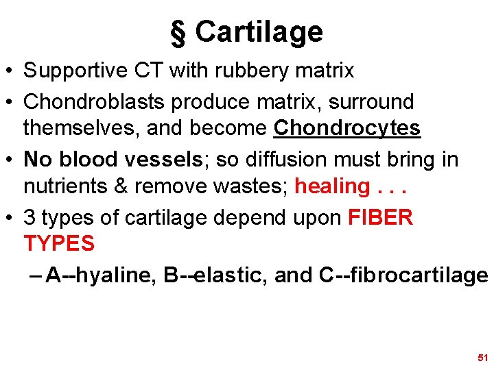 § Cartilage • Supportive CT with rubbery matrix • Chondroblasts produce matrix, surround themselves,