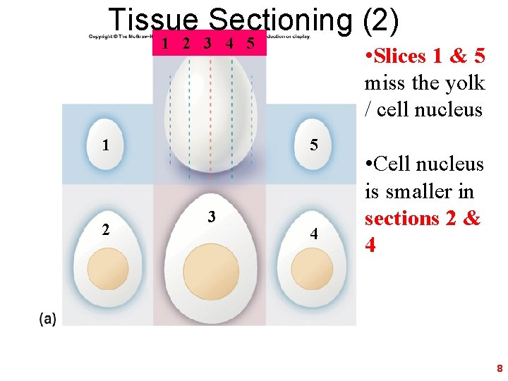 Tissue Sectioning (2) 1 2 3 4 5 1 2 • Slices 1 &