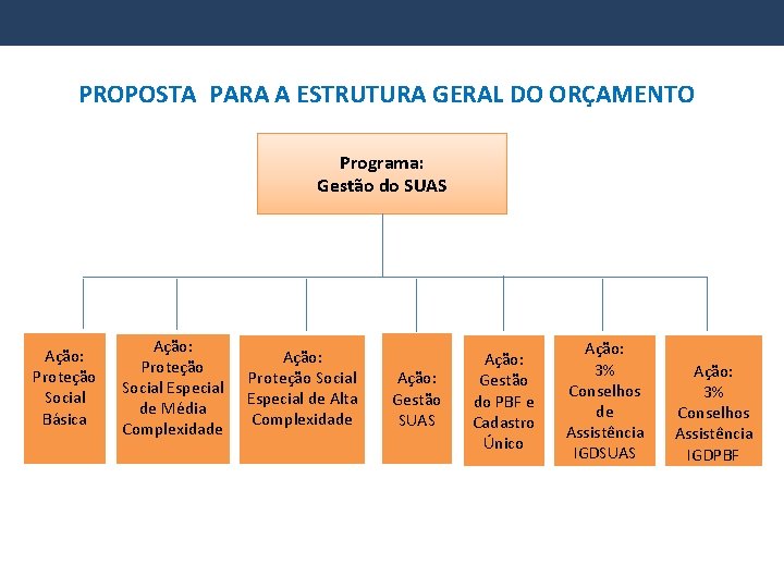 PROPOSTA PARA A ESTRUTURA GERAL DO ORÇAMENTO Programa: Gestão do SUAS Ação: Proteção Social