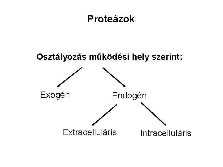 Proteázok Osztályozás működési hely szerint: Exogén Endogén Extracelluláris Intracelluláris 