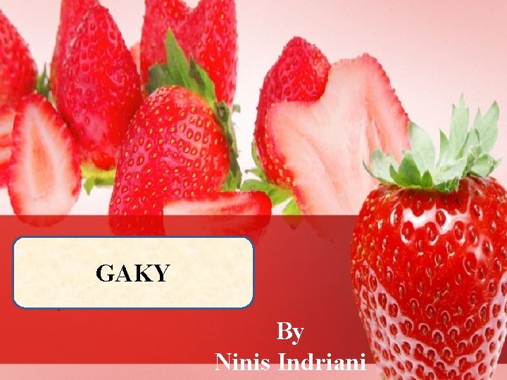 GAKY By Ninis Indriani 