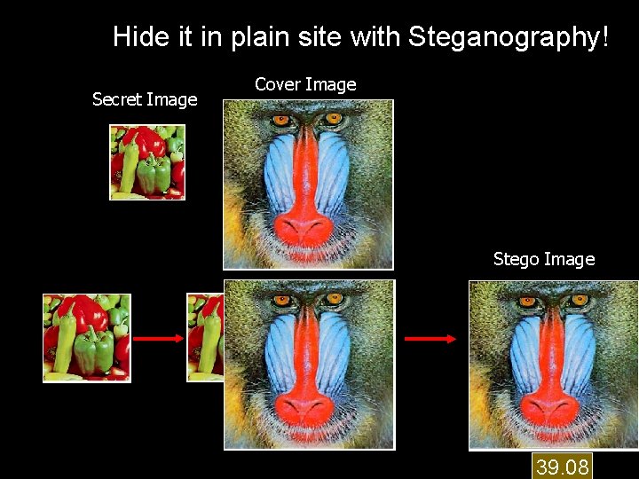 Hide it in plain site with Steganography! Secret Image Cover Image Stego Image 39.