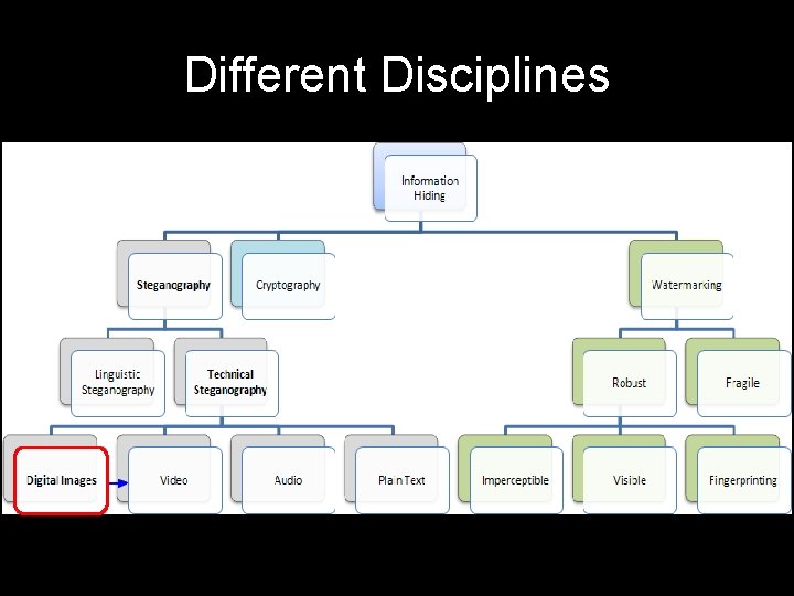 Different Disciplines 