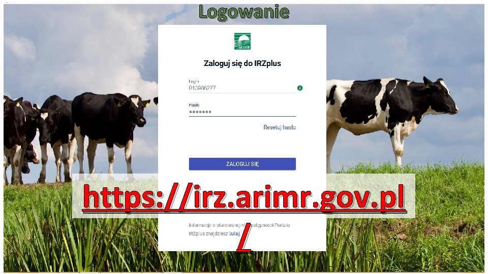 Logowanie https: //irz. arimr. gov. pl / 