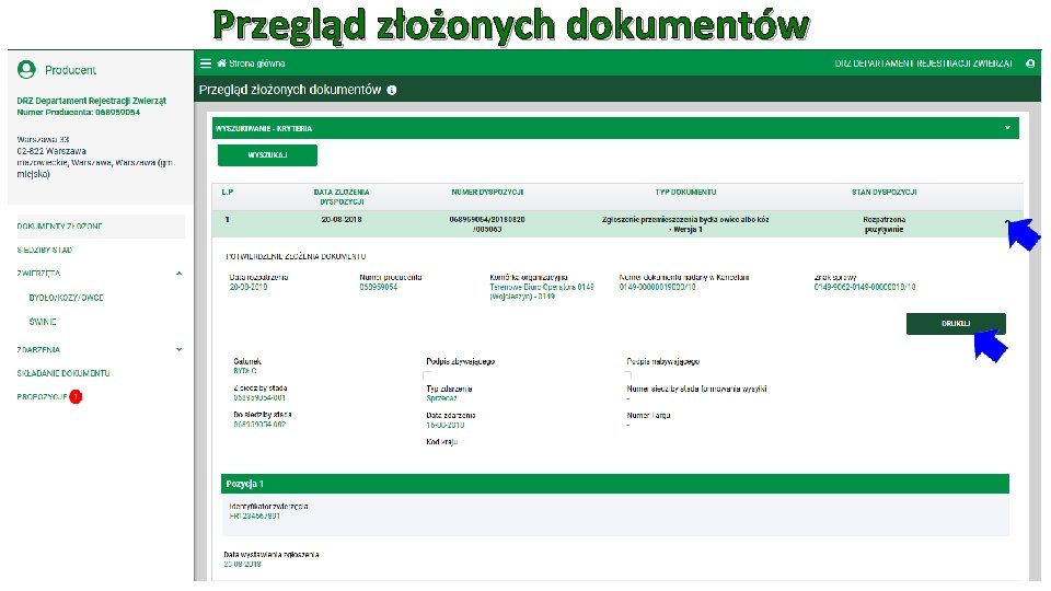 Przegląd złożonych dokumentów 