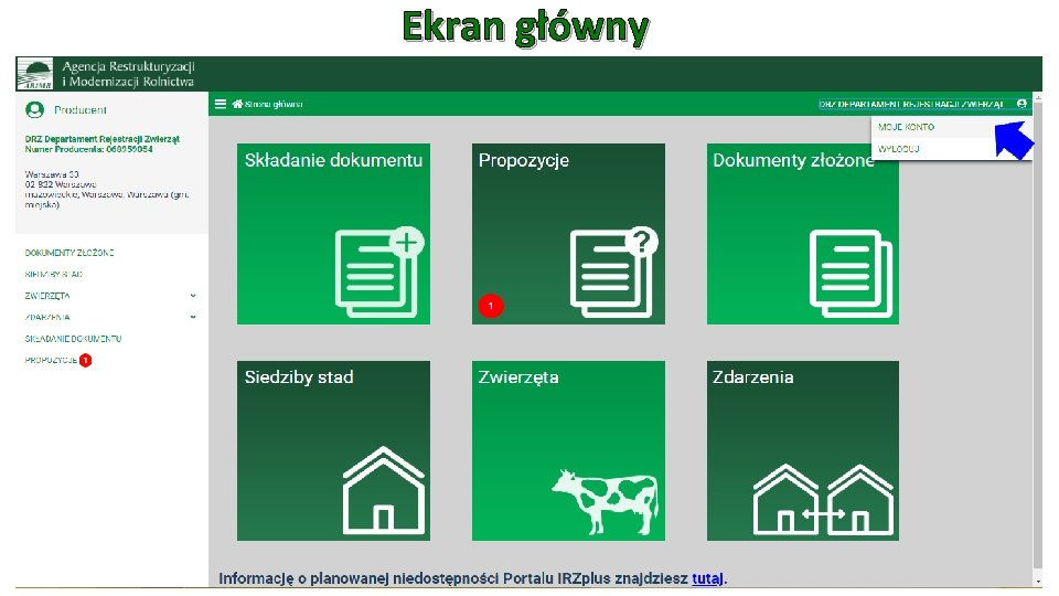 Ekran główny 