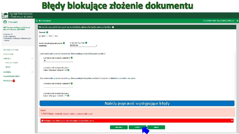 Błędy blokujące złożenie dokumentu Należy poprawić występujące błędy 