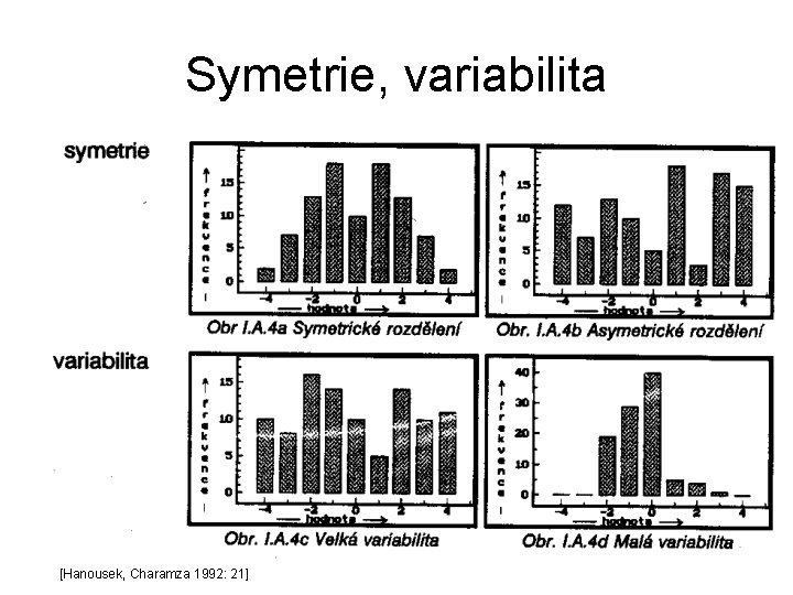 Symetrie, variabilita [Hanousek, Charamza 1992: 21] 
