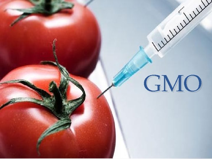 GMO 