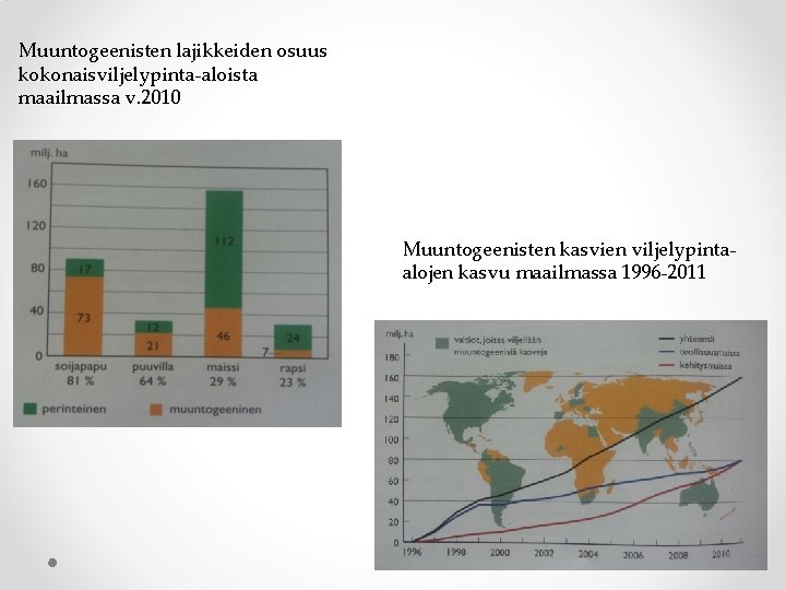 Muuntogeenisten lajikkeiden osuus kokonaisviljelypinta-aloista maailmassa v. 2010 Muuntogeenisten kasvien viljelypintaalojen kasvu maailmassa 1996 -2011