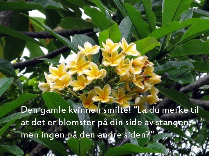 Den gamle kvinnen smilte! “La du merke til at det er blomster på din