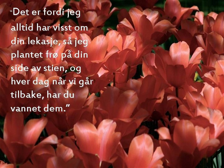 “Det er fordi jeg alltid har visst om din lekasje, så jeg plantet frø