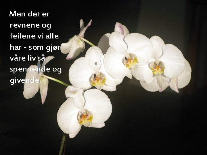 Men det er revnene og feilene vi alle har - som gjør våre liv