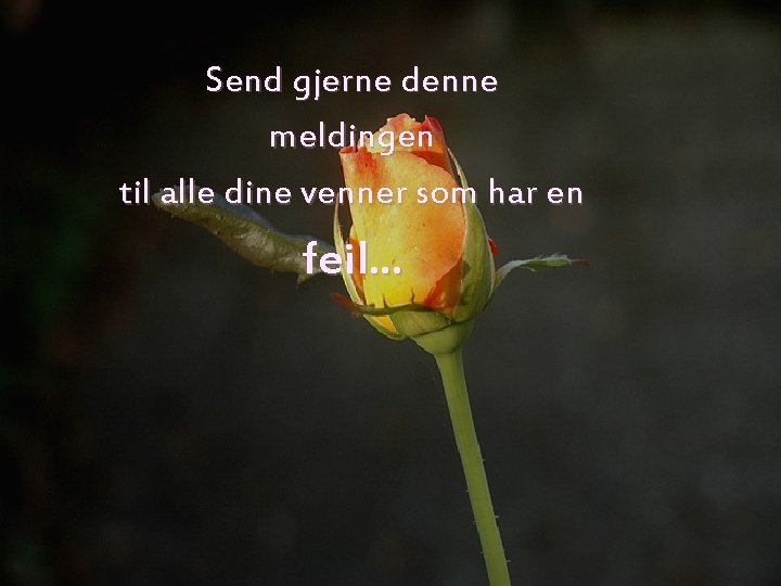 Send gjerne denne meldingen til alle dine venner som har en feil. . .