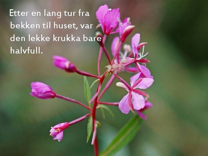 Etter en lang tur fra bekken til huset, var den lekke krukka bare halvfull.