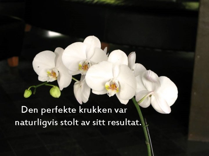 Den perfekte krukken var naturligvis stolt av sitt resultat. 