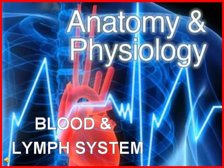 BLOOD & LYMPH SYSTEM 