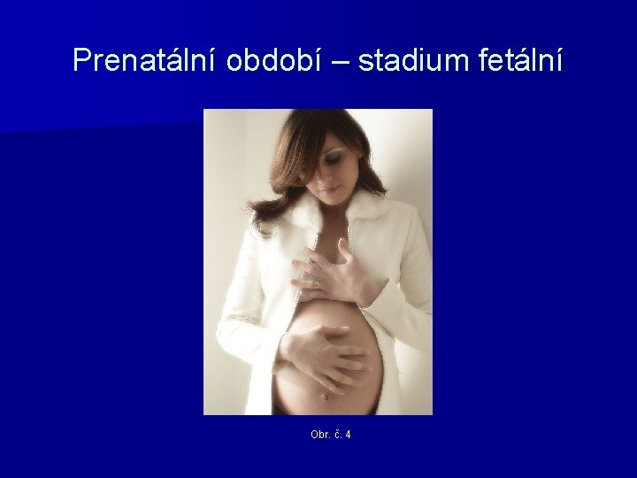 Prenatální období – stadium fetální Obr. č. 4 