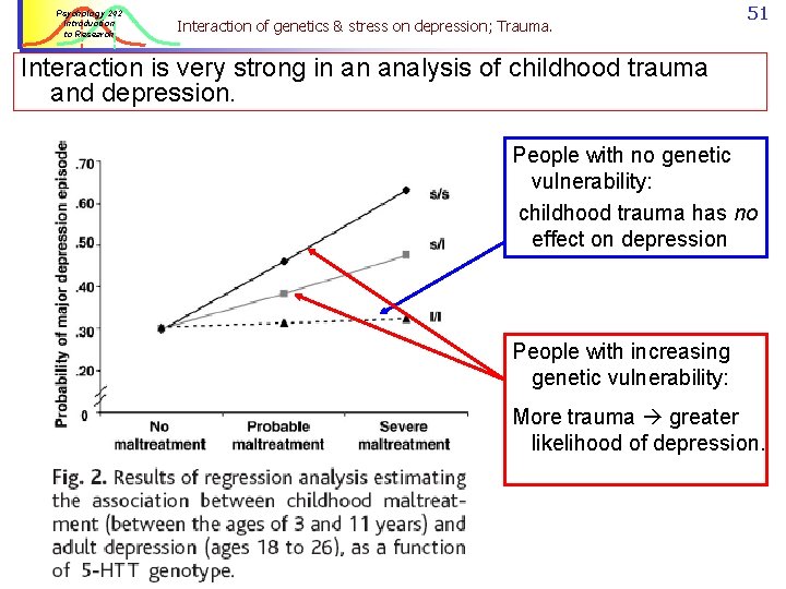 Psychology 242 Introduction to Research Interaction of genetics & stress on depression; Trauma. 51
