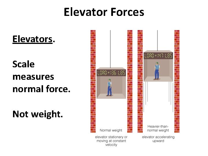 Elevator Forces Elevators. Scale measures normal force. Not weight. 