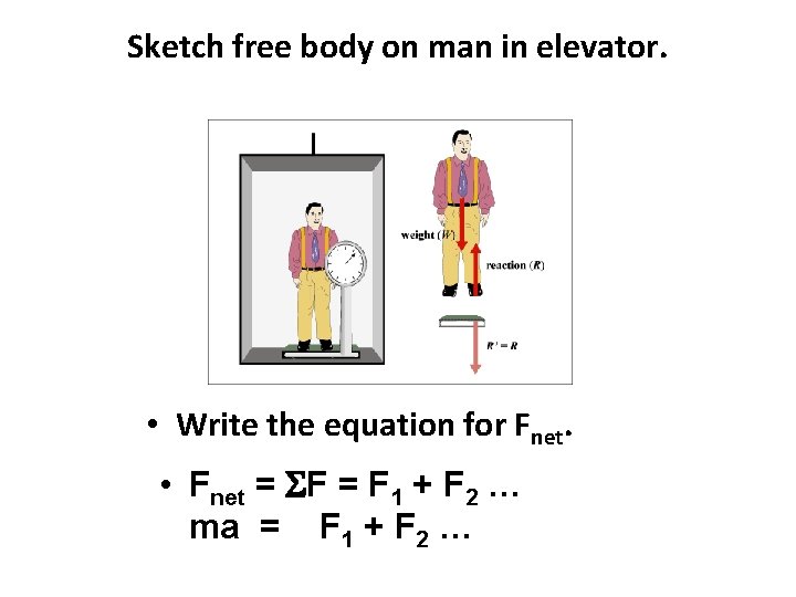 Sketch free body on man in elevator. • Write the equation for Fnet. •