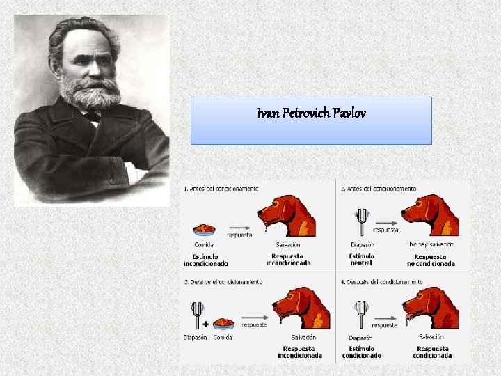 Ivan Petrovich Pavlov 