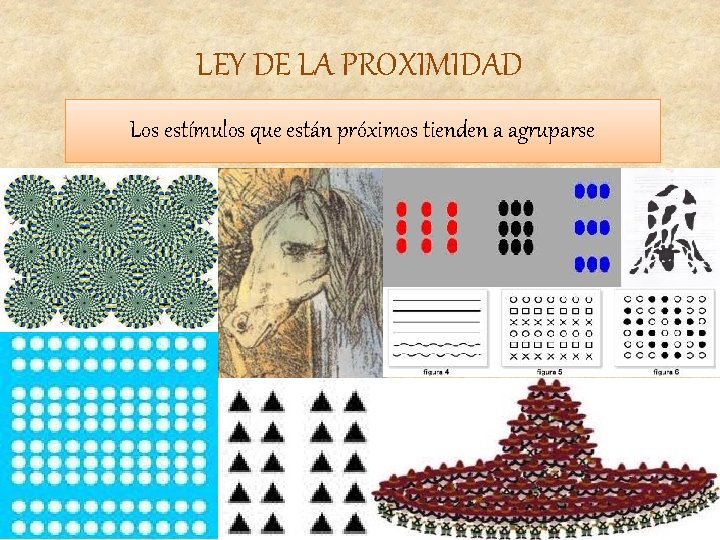 LEY DE LA PROXIMIDAD Los estímulos que están próximos tienden a agruparse 