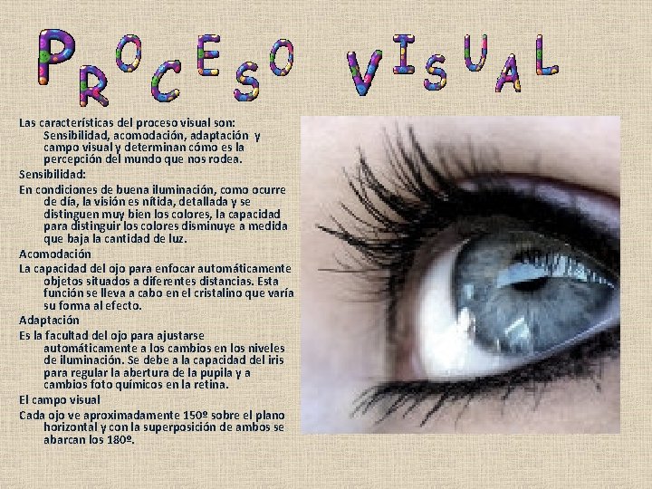 Las características del proceso visual son: Sensibilidad, acomodación, adaptación y campo visual y determinan