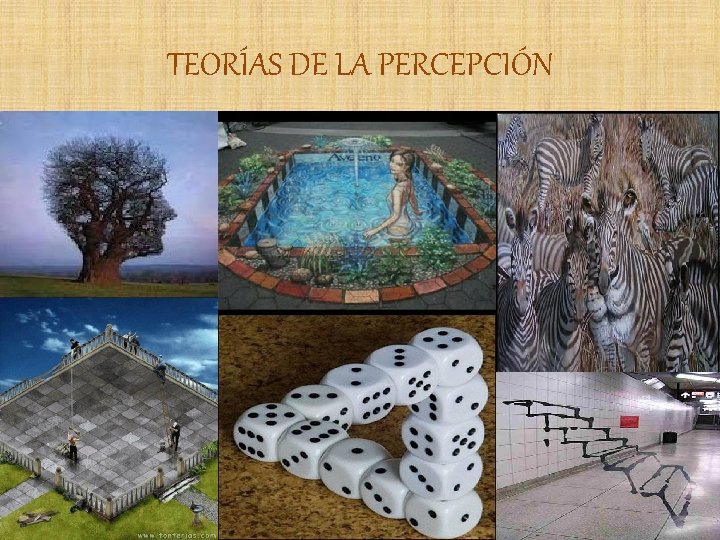 TEORÍAS DE LA PERCEPCIÓN 