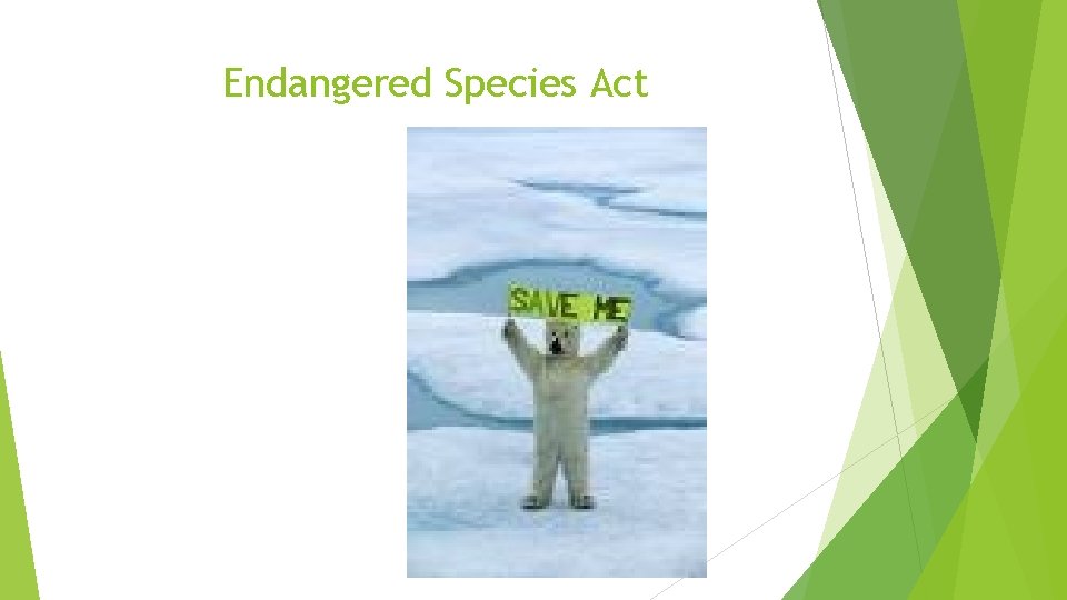 Endangered Species Act 