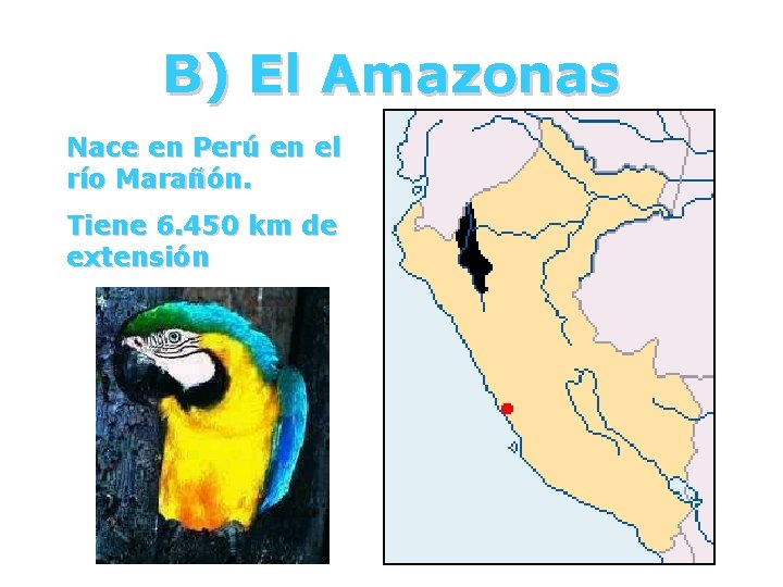 B) El Amazonas Nace en Perú en el río Marañón. Tiene 6. 450 km