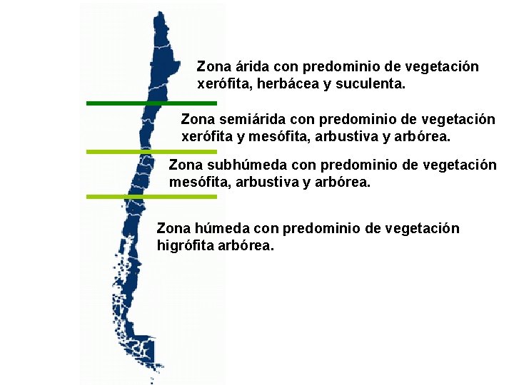 Zona árida con predominio de vegetación xerófita, herbácea y suculenta. Zona semiárida con predominio