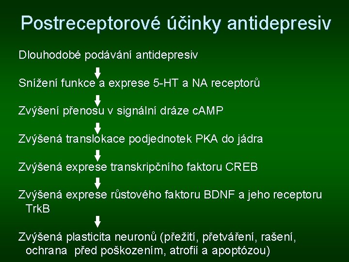 Postreceptorové účinky antidepresiv Dlouhodobé podávání antidepresiv Snížení funkce a exprese 5 -HT a NA