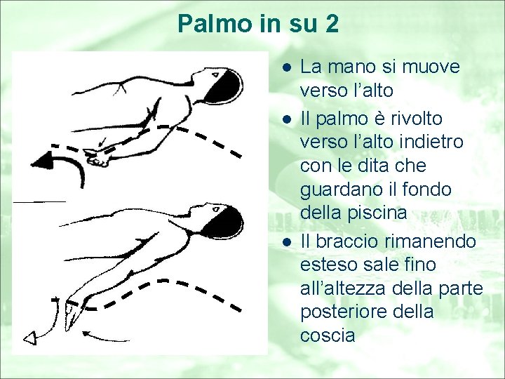 Palmo in su 2 l l l La mano si muove verso l’alto Il