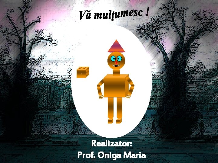 Realizator: Prof. Oniga Maria 