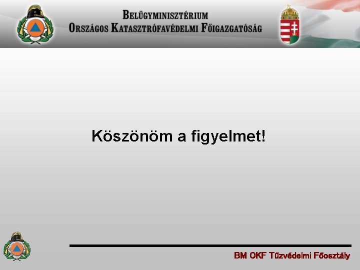 Köszönöm a figyelmet! BM OKF Tűzvédelmi Főosztály 