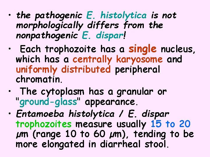  • the pathogenic E. histolytica is not morphologically differs from the nonpathogenic E.