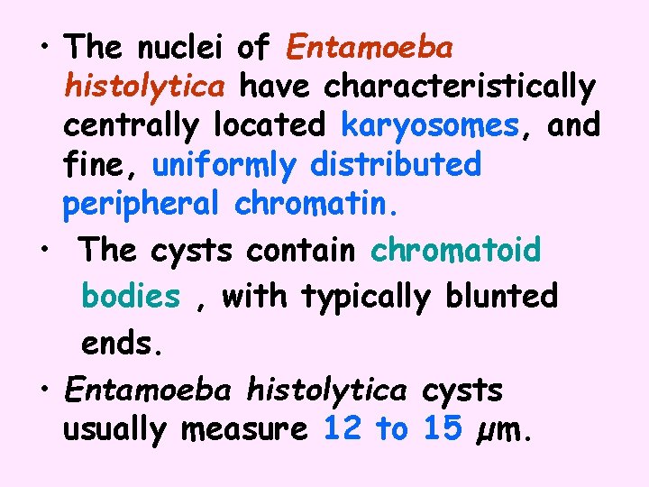  • The nuclei of Entamoeba histolytica have characteristically centrally located karyosomes, and fine,