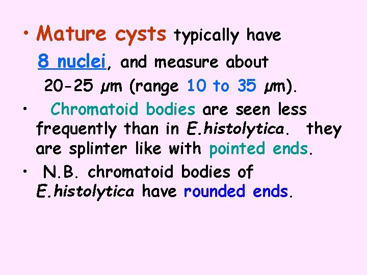  • Mature cysts typically have 8 nuclei, and measure about 20 -25 µm