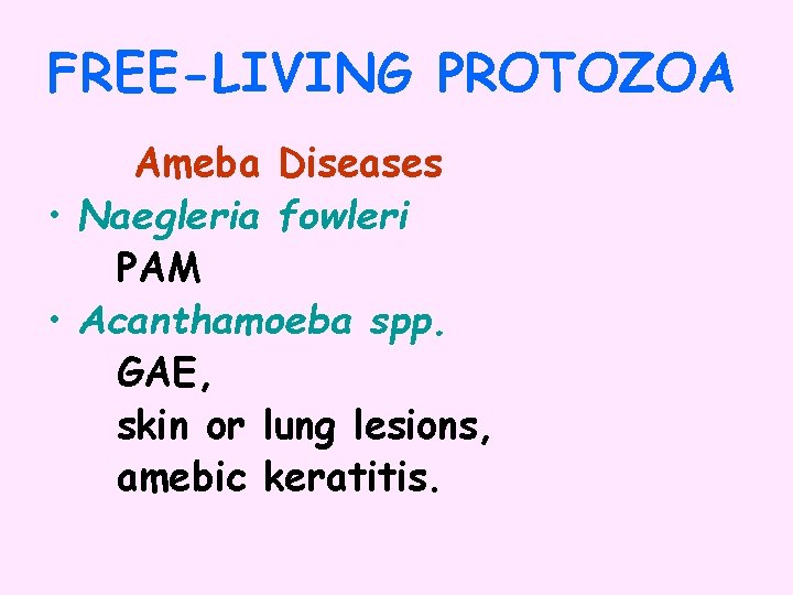 FREE-LIVING PROTOZOA Ameba Diseases • Naegleria fowleri PAM • Acanthamoeba spp. GAE, skin or