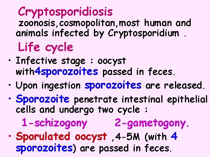 Cryptosporidiosis zoonosis, cosmopolitan, most human and animals infected by Cryptosporidium. Life cycle • Infective