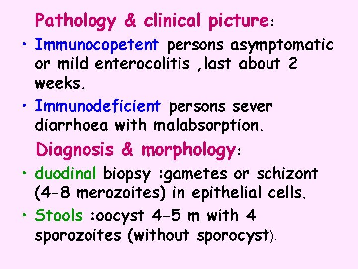 Pathology & clinical picture: • Immunocopetent persons asymptomatic or mild enterocolitis , last about