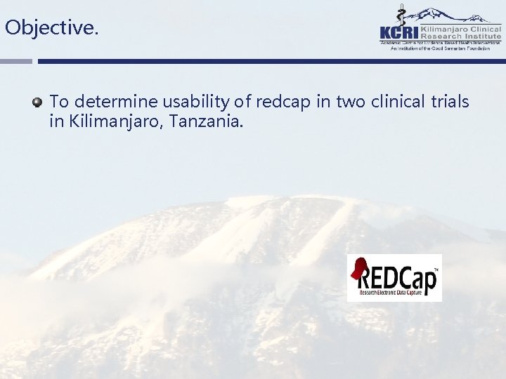 THE 7 TH EAHSC USABILITY OF REDCAP IN